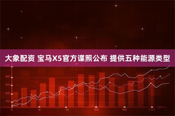 大象配资 宝马X5官方谍照公布 提供五种能源类型