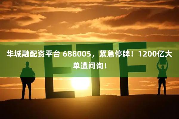 华城融配资平台 688005，紧急停牌！1200亿大单遭问询！